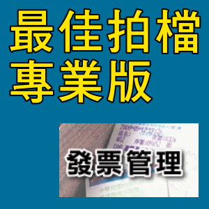 凌越 最佳拍檔-專業版-發票管理